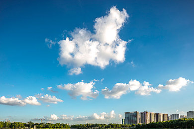 小白菜app下载｜小白菜APP：便捷生活新篇章，公益之心共筑温馨-1
