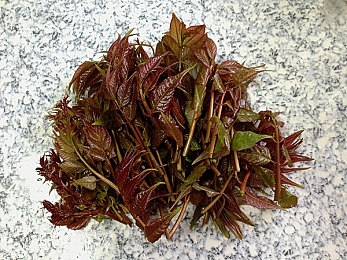 丘丘人精神控制申鹤怀孕,神秘力量操控女子怀孕,精神控制引发惊悚事件-1