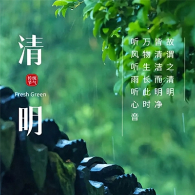 野花高清在线观看免费8｜免费观影盛宴，野花高清带你畅游影视海洋-2