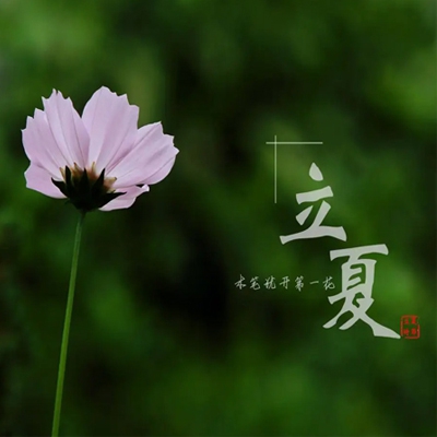 丝瓜香蕉芭乐鸭脖小猪下载污｜网络净化之旅：丝瓜香蕉芭乐鸭脖小猪冒险记-3