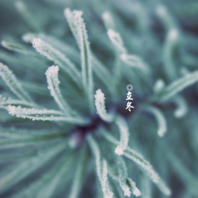亚洲无人区码一码二码三码四码,亚洲荒野解谜生存之旅-5